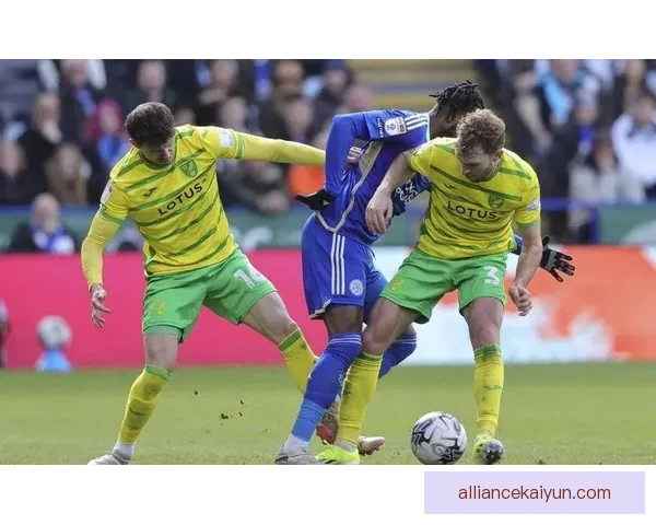 诺维奇作为英冠降班马近期表现稳健